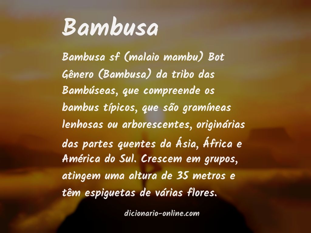Significado de bambusa