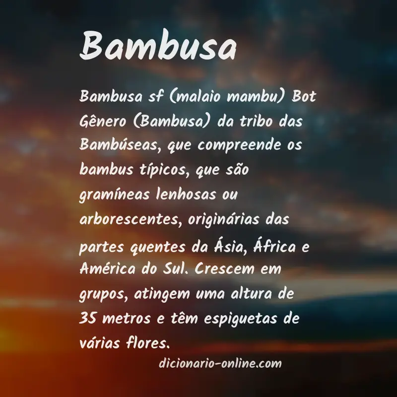 Significado de bambusa