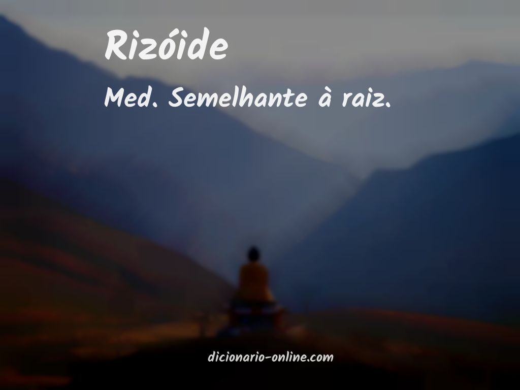 Significado de rizóide