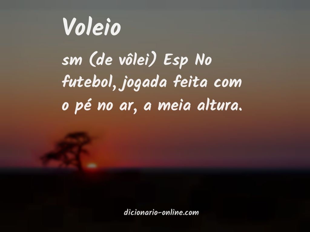 Significado de voleio