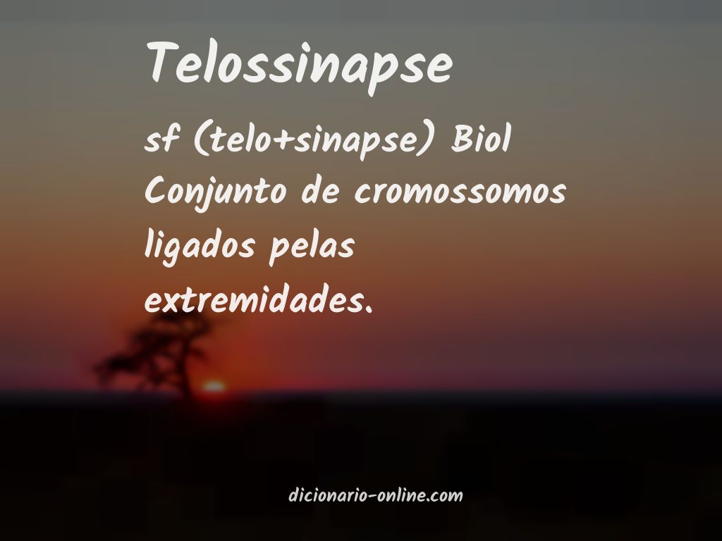 Significado de telossinapse