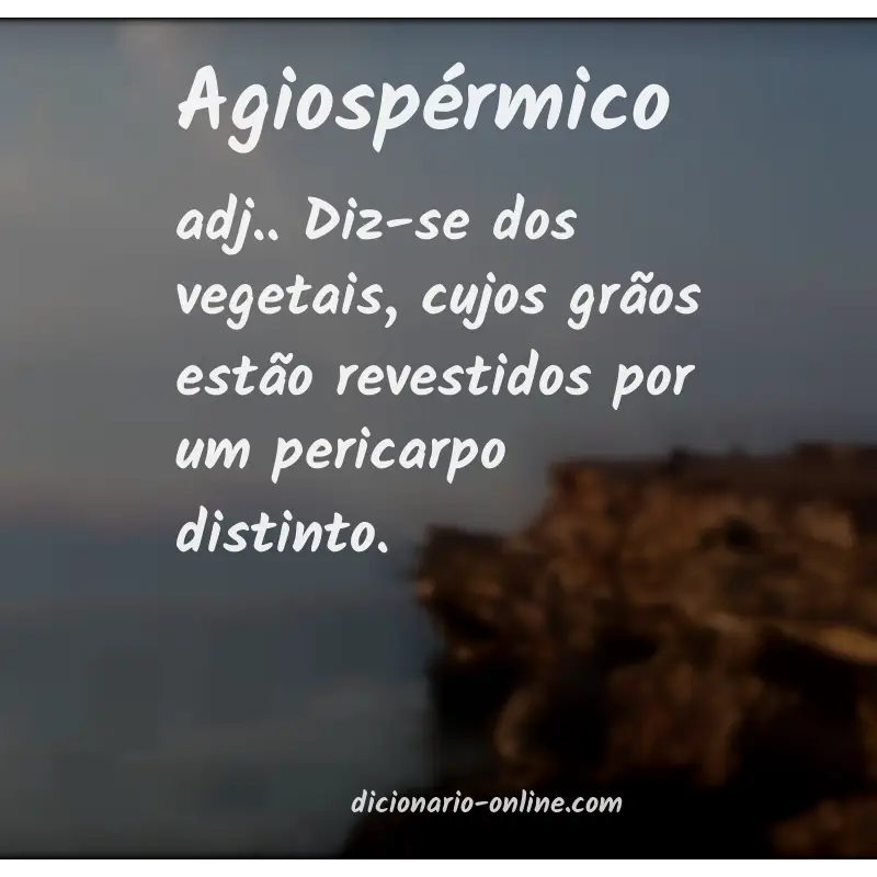 Significado de agiospérmico