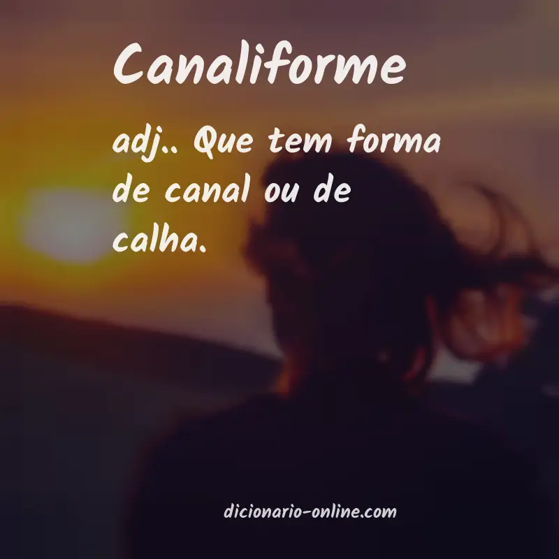 Significado de canaliforme