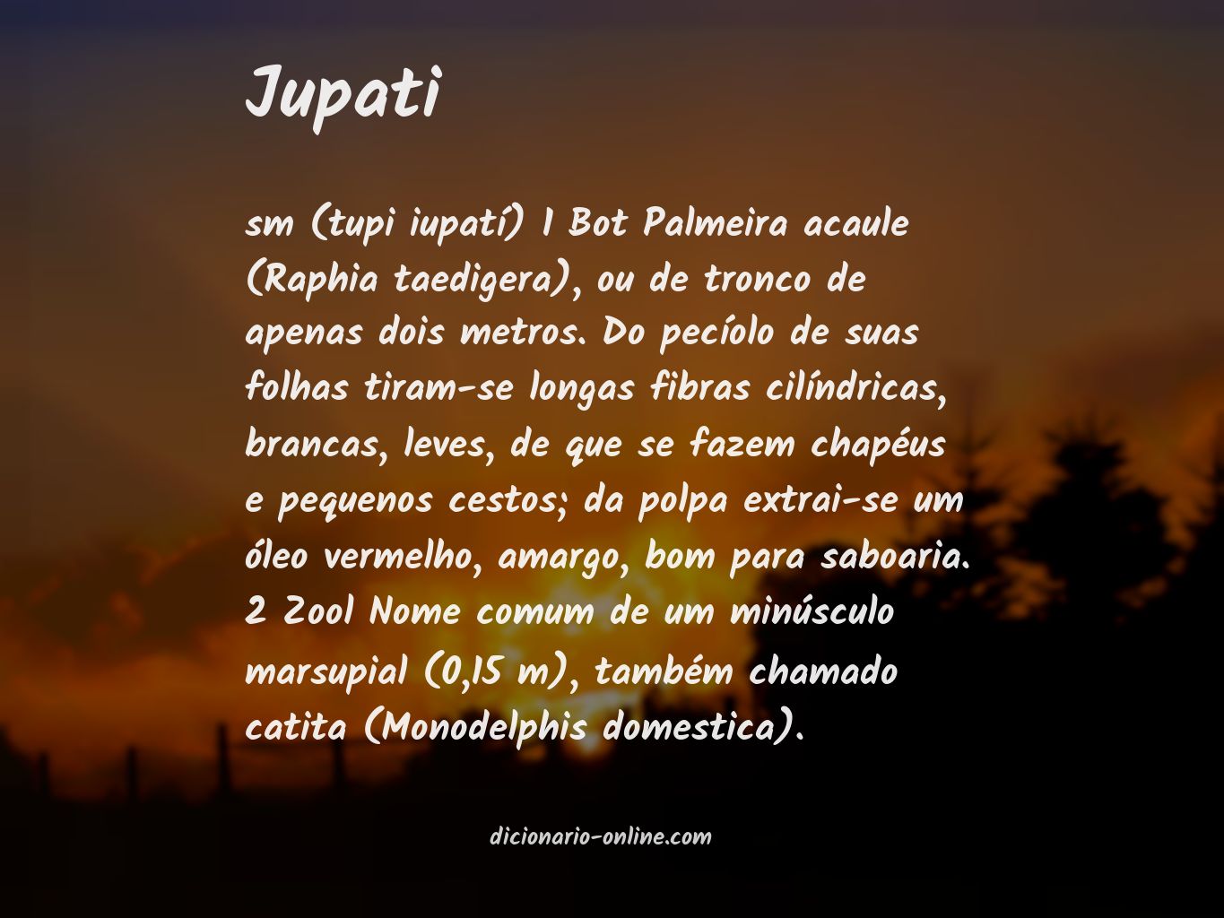 Significado de jupati