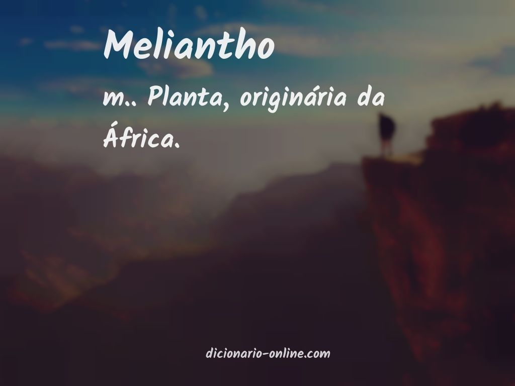 Significado de meliantho