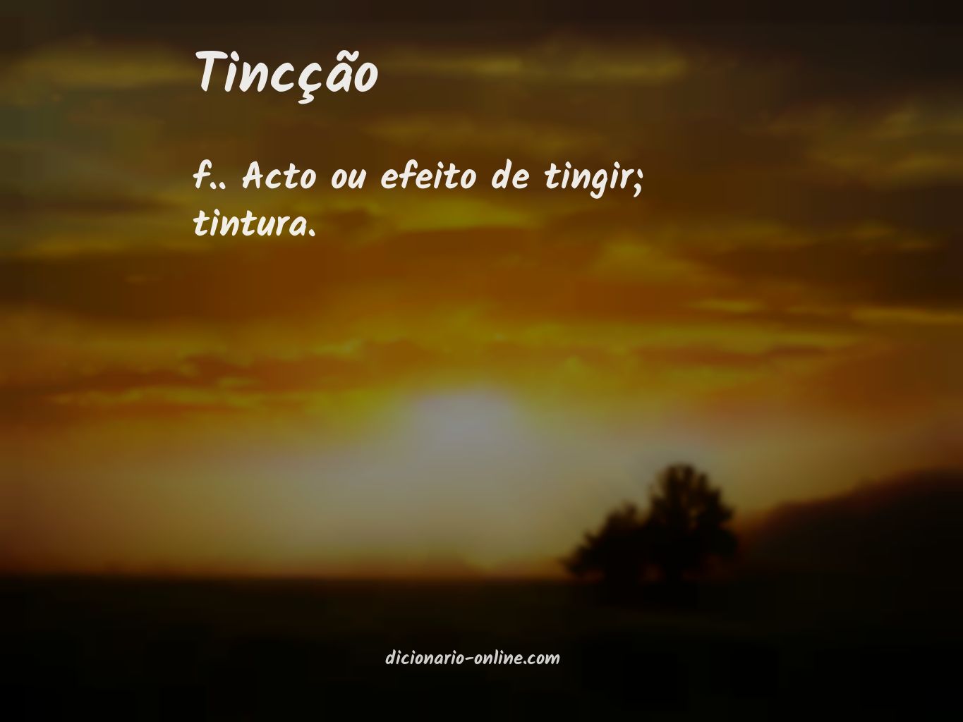 Significado de tincção