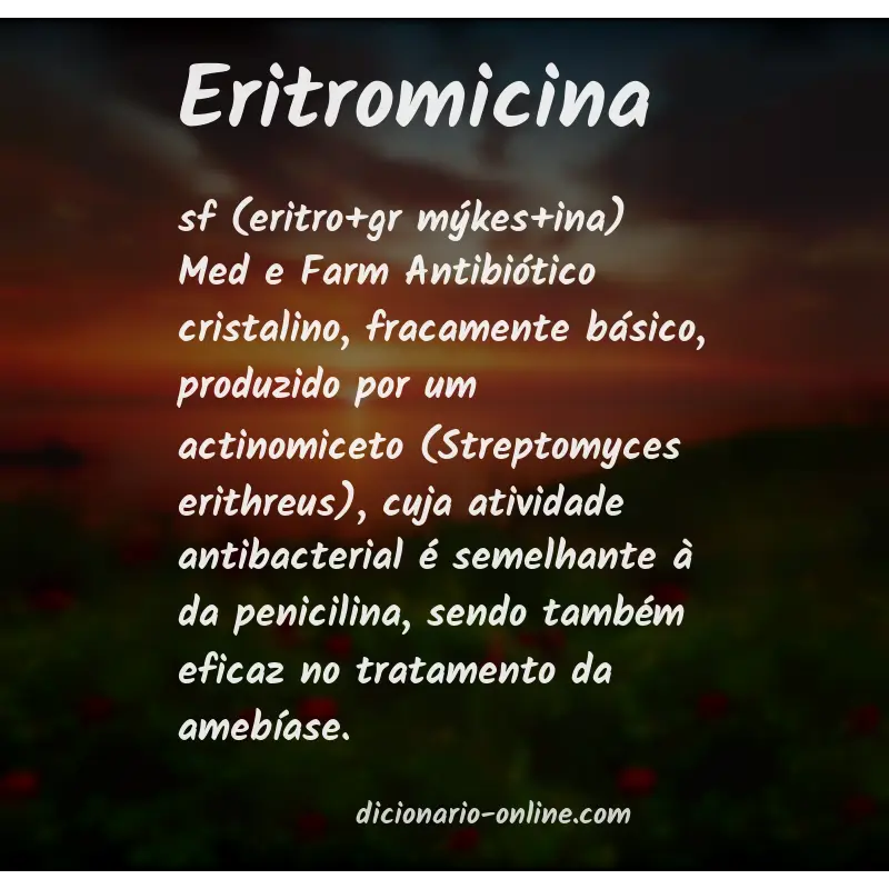 Significado de eritromicina