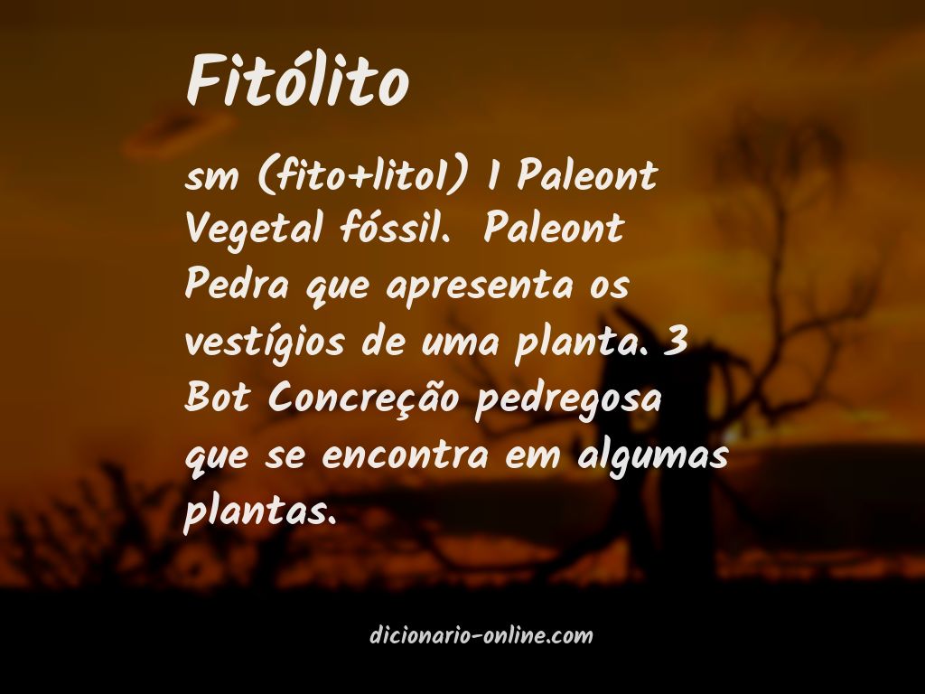 Significado de fitólito