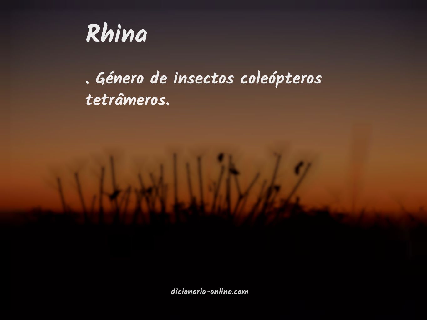 Significado de rhina