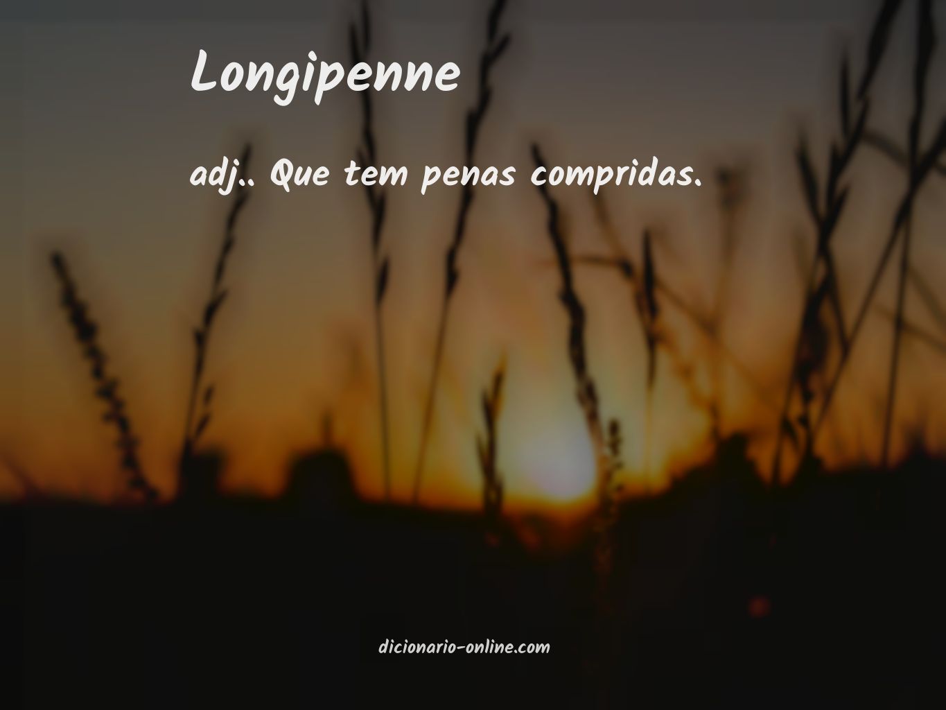 Significado de longipenne