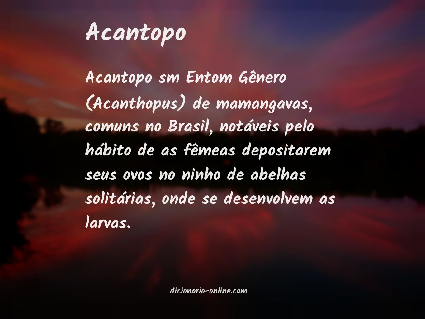 Significado de acantopo