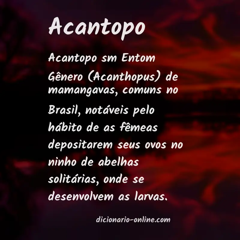 Significado de acantopo