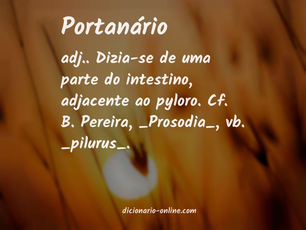 Significado de portanário