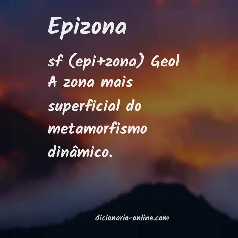 Significado de epizona