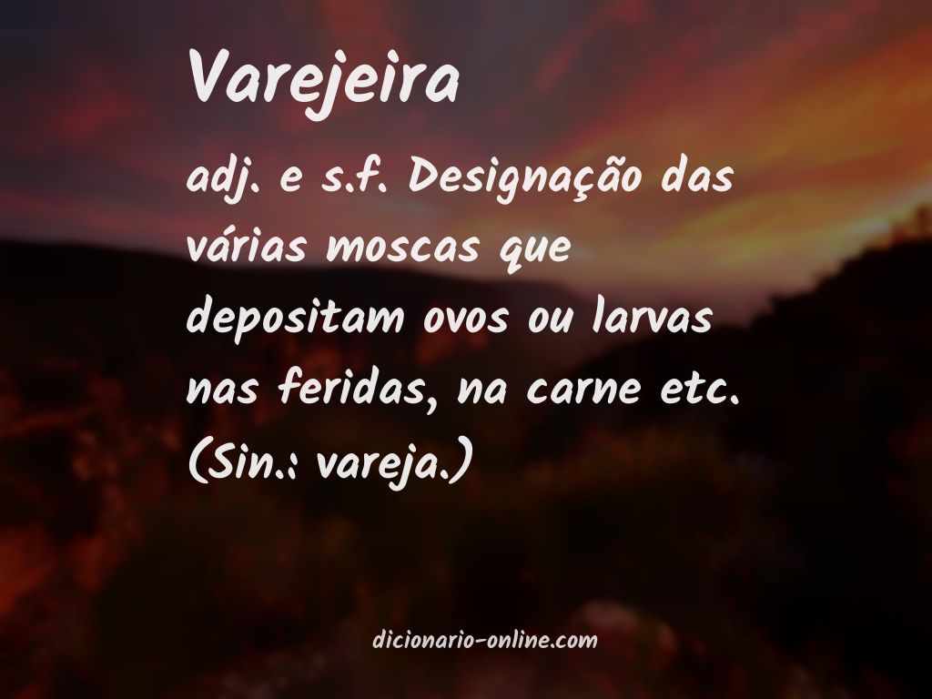 Significado de varejeira