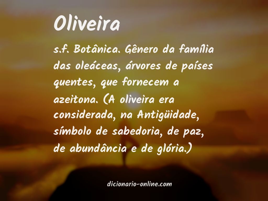 Significado de oliveira