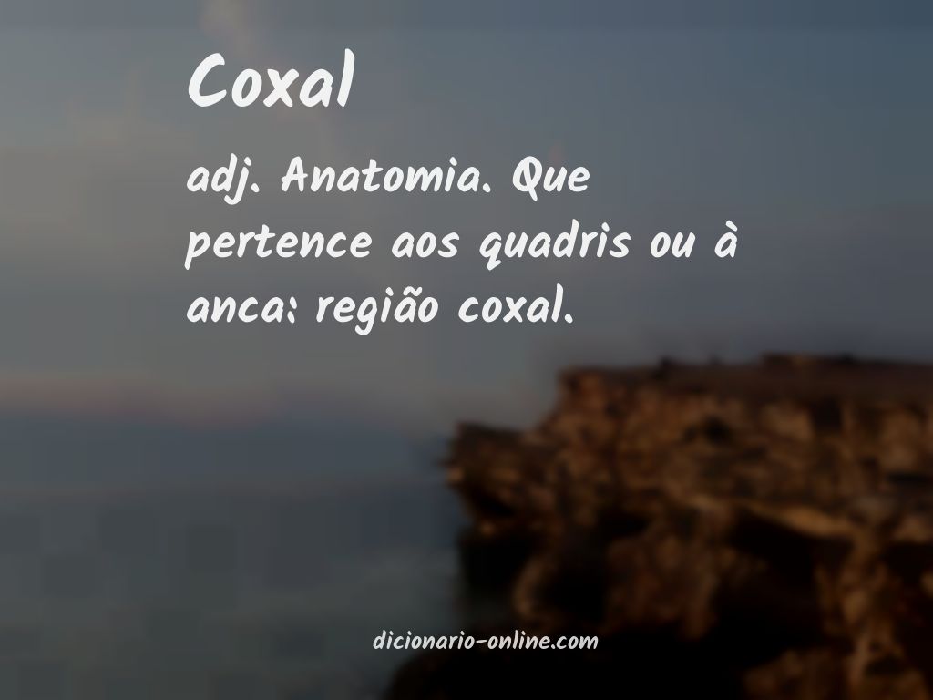 Significado de coxal