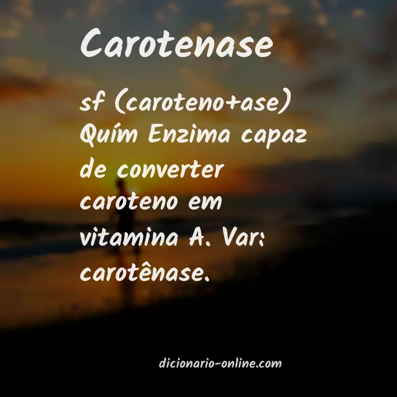 Significado de carotenase