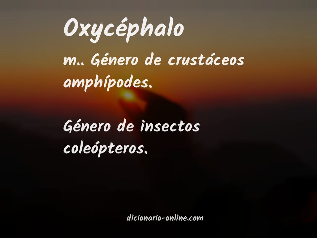 Significado de oxycéphalo