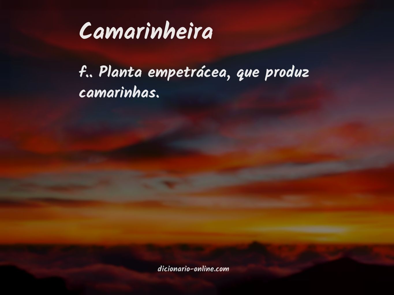 Significado de camarinheira