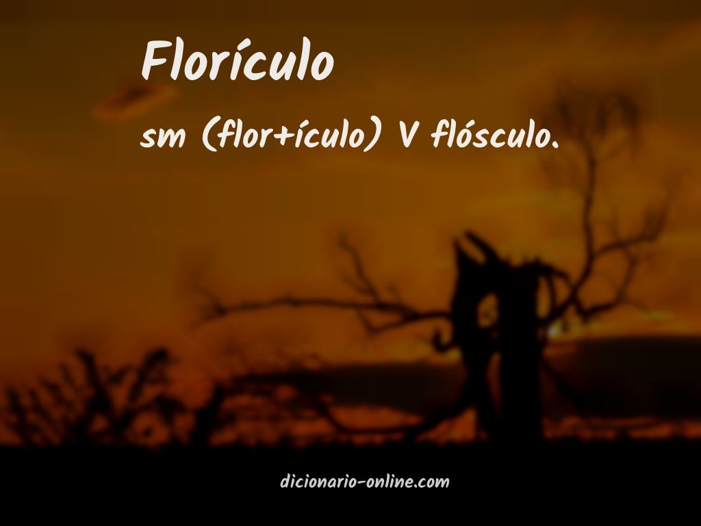 Significado de florículo