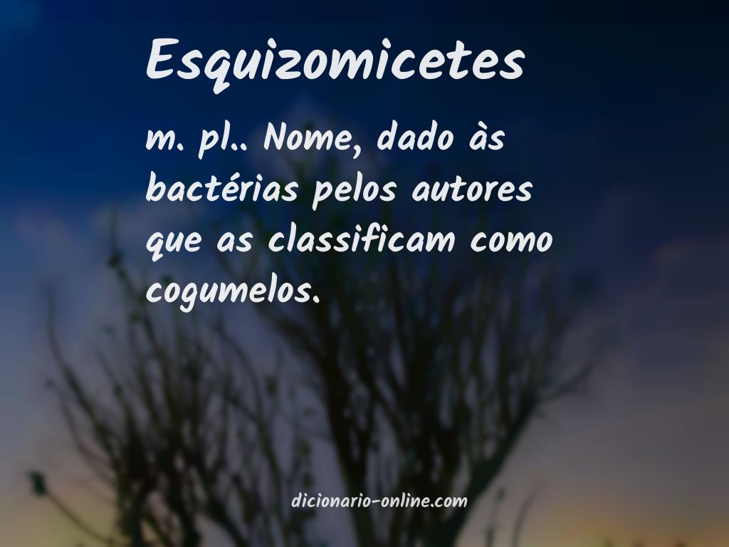 Significado de esquizomicetes