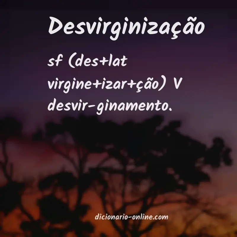 Significado de desvirginização