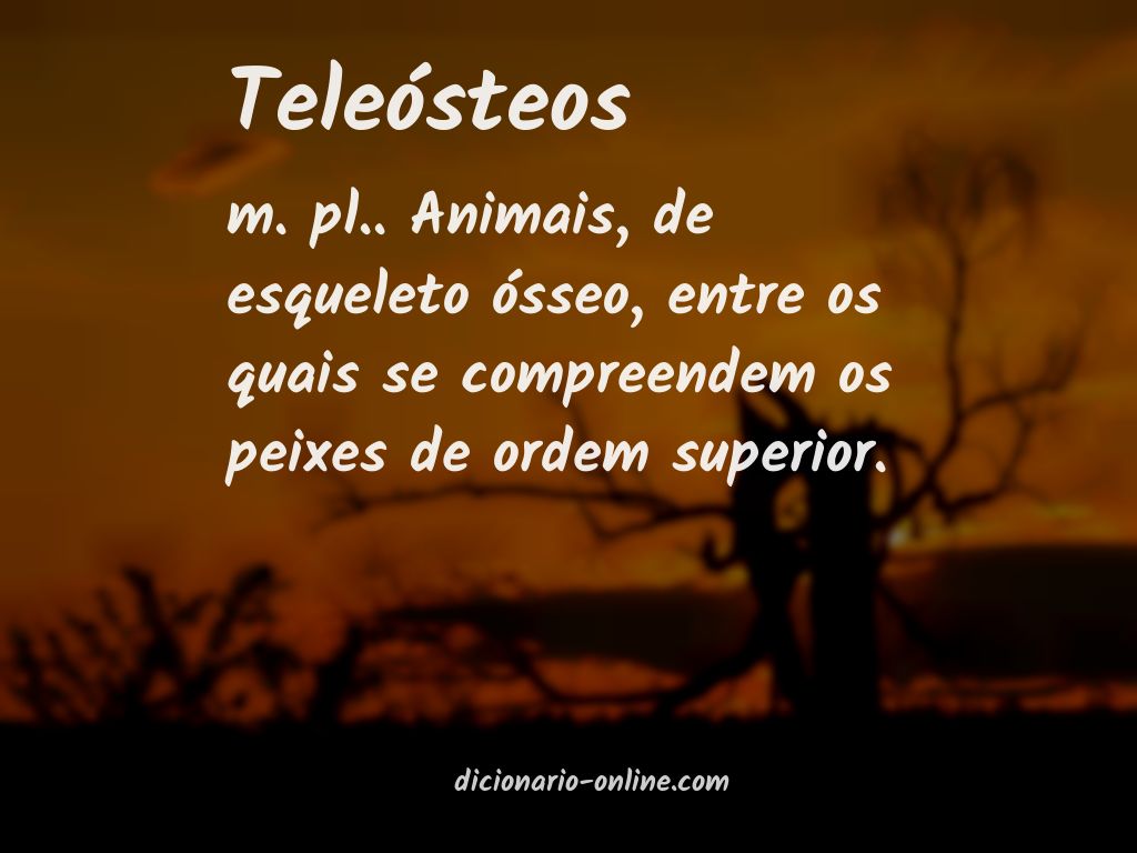 Significado de teleósteos