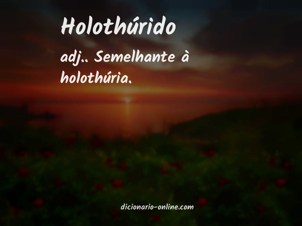 Significado de holothúrido