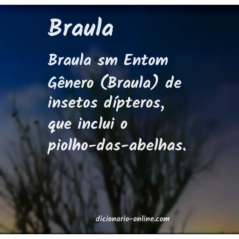 Significado de braula