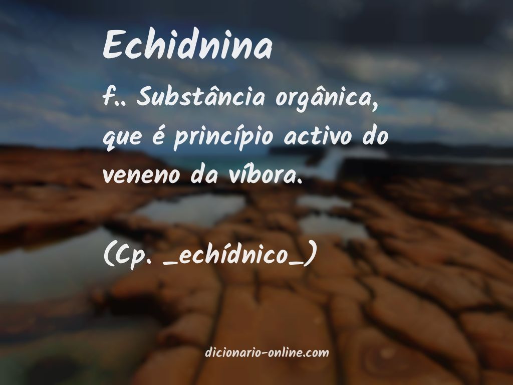 Significado de echidnina