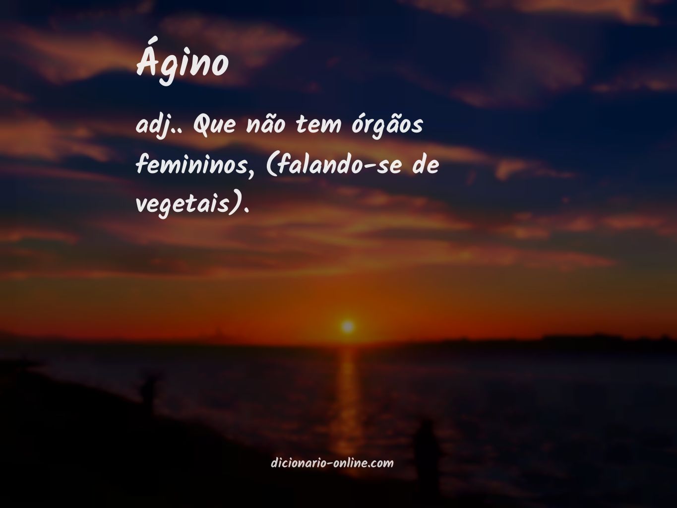 Significado de ágino