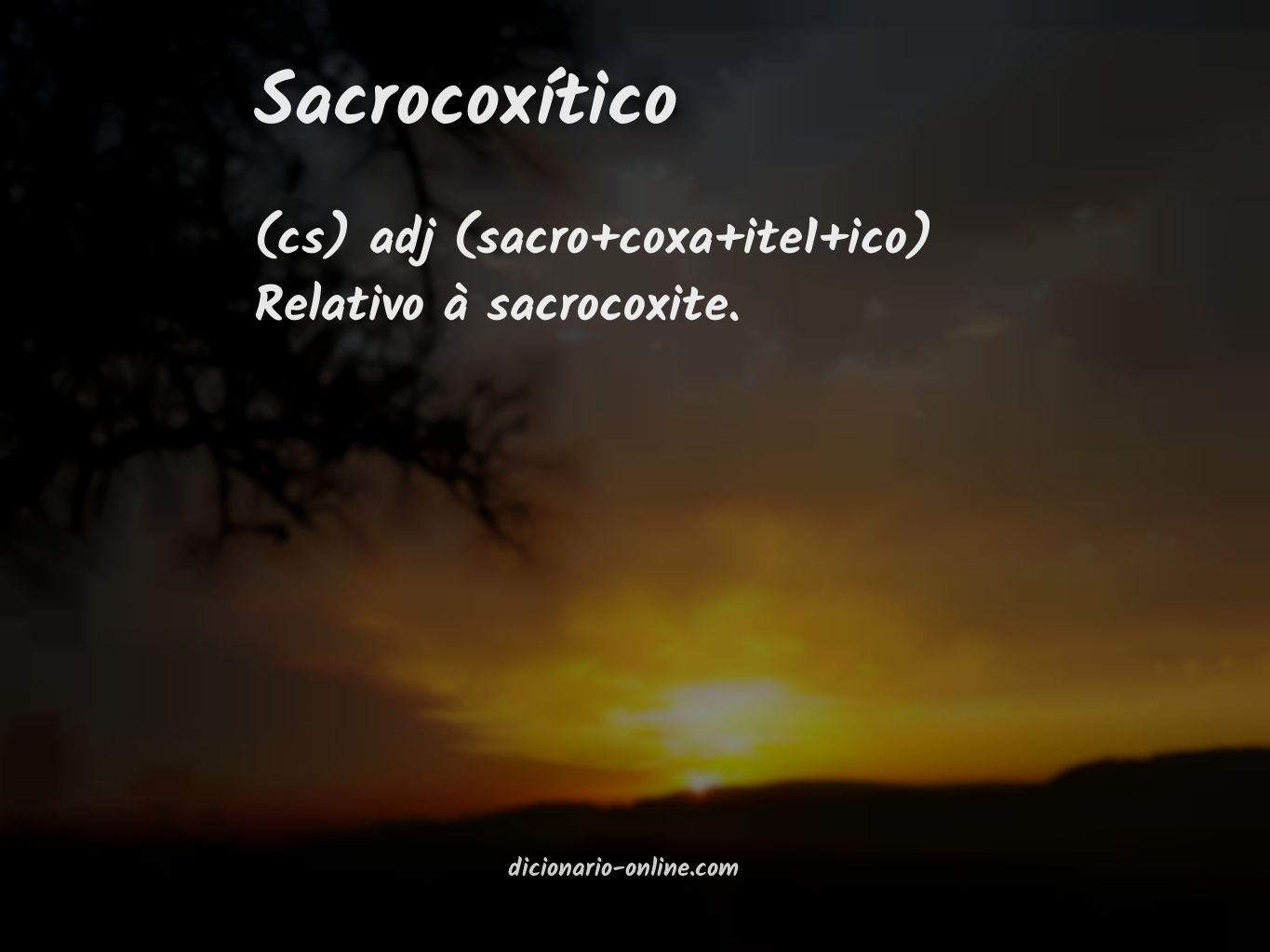 Significado de sacrocoxítico