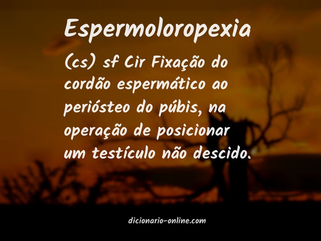 Significado de espermoloropexia