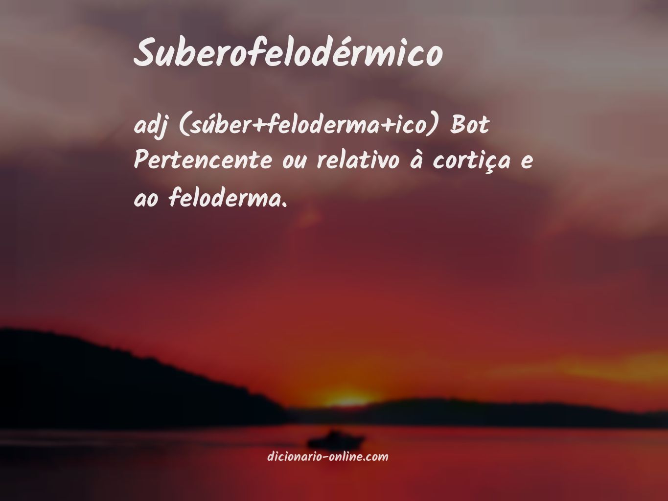 Significado de suberofelodérmico