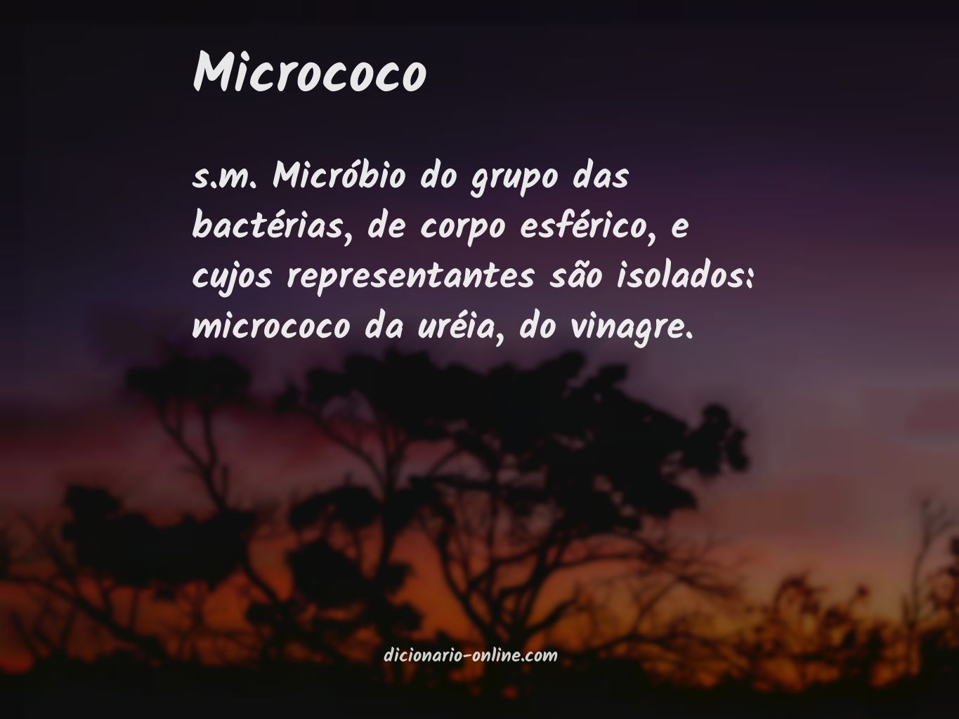 Significado de micrococo