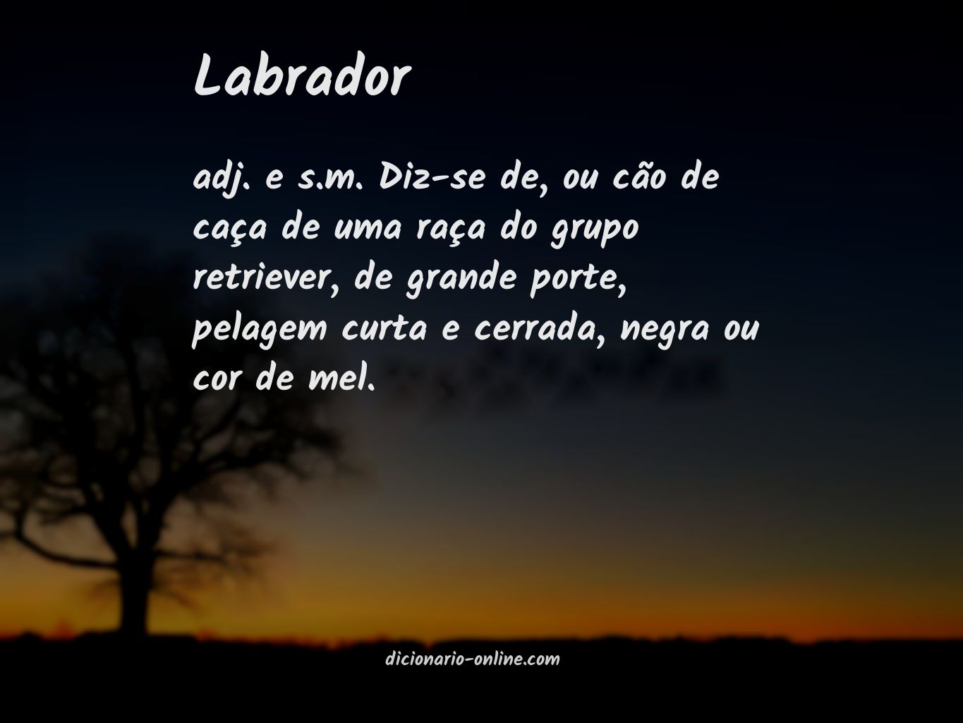 Significado de labrador