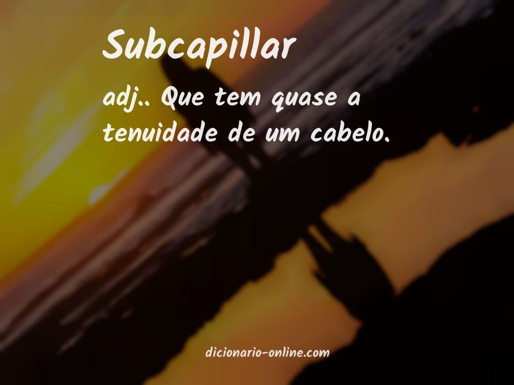 Significado de subcapillar