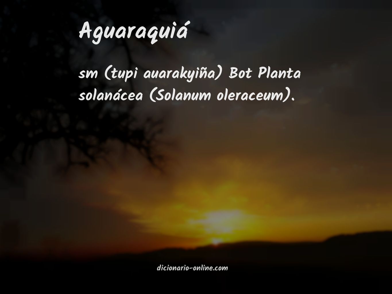 Significado de aguaraquiá