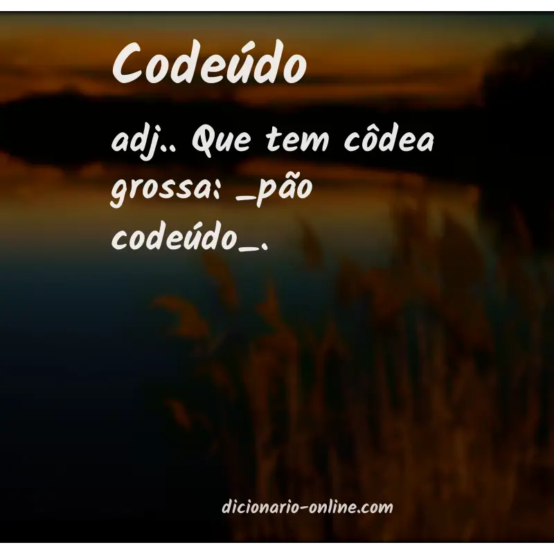 Significado de codeúdo