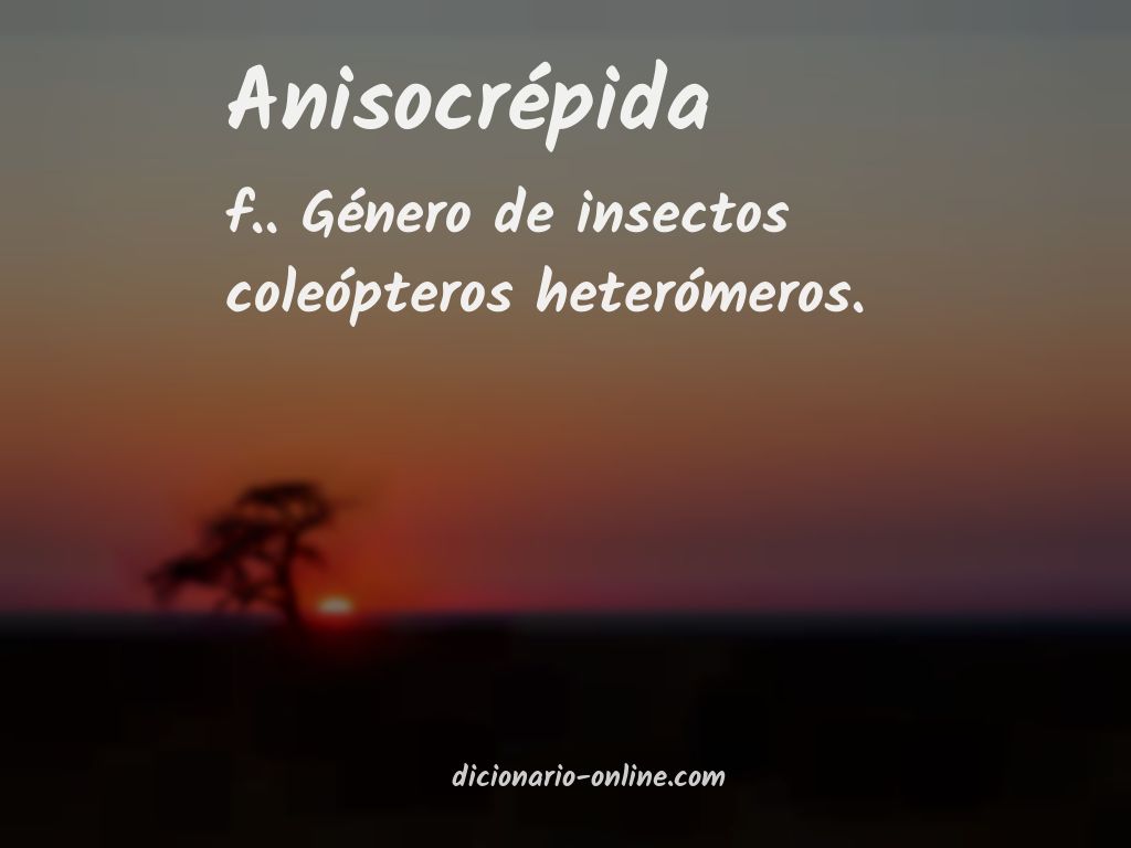 Significado de anisocrépida