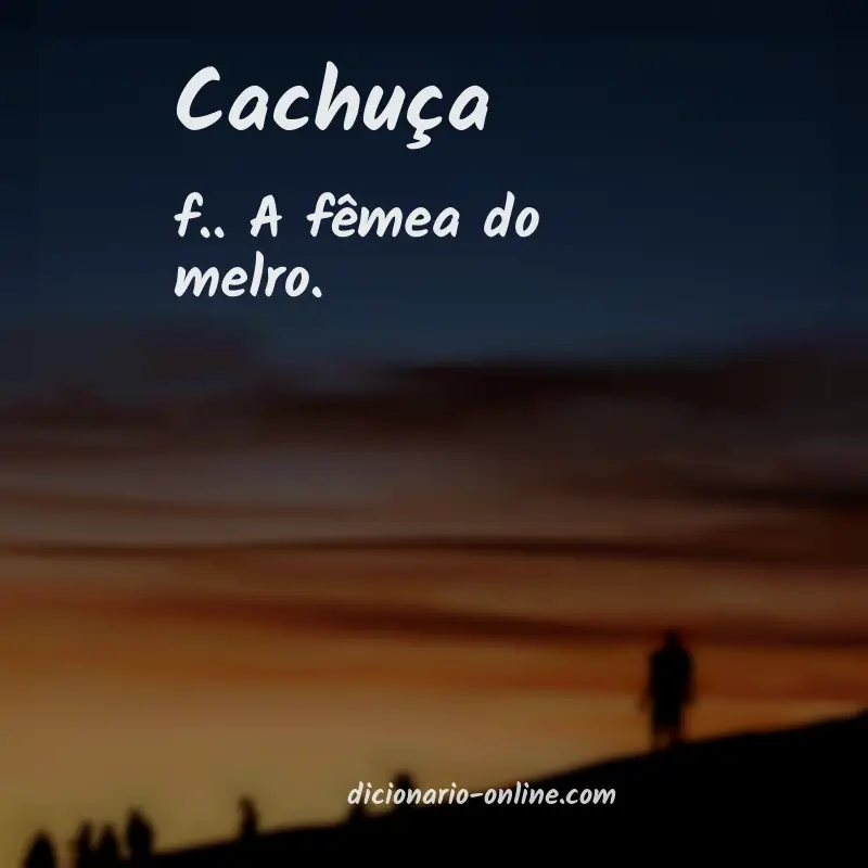 Significado de cachuça