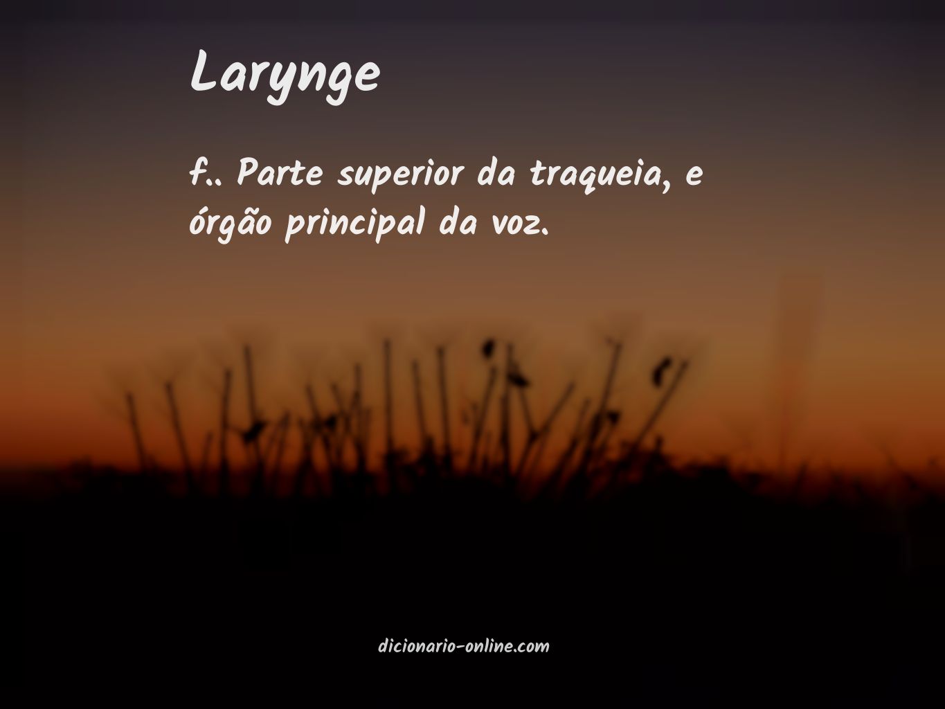 Significado de larynge