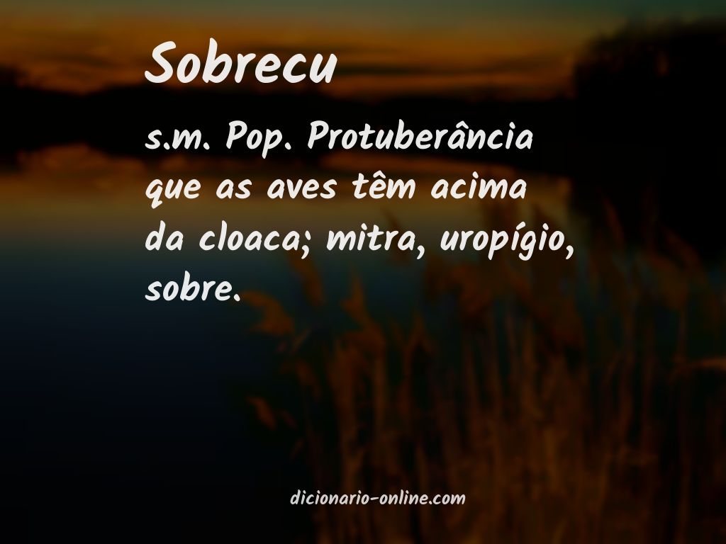 Significado de sobrecu