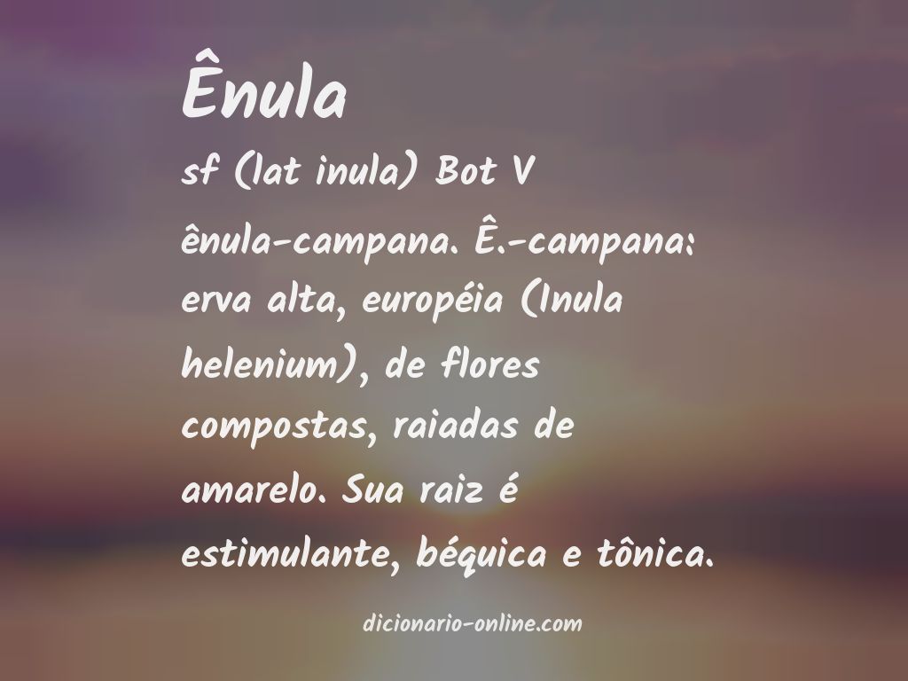 Significado de ênula