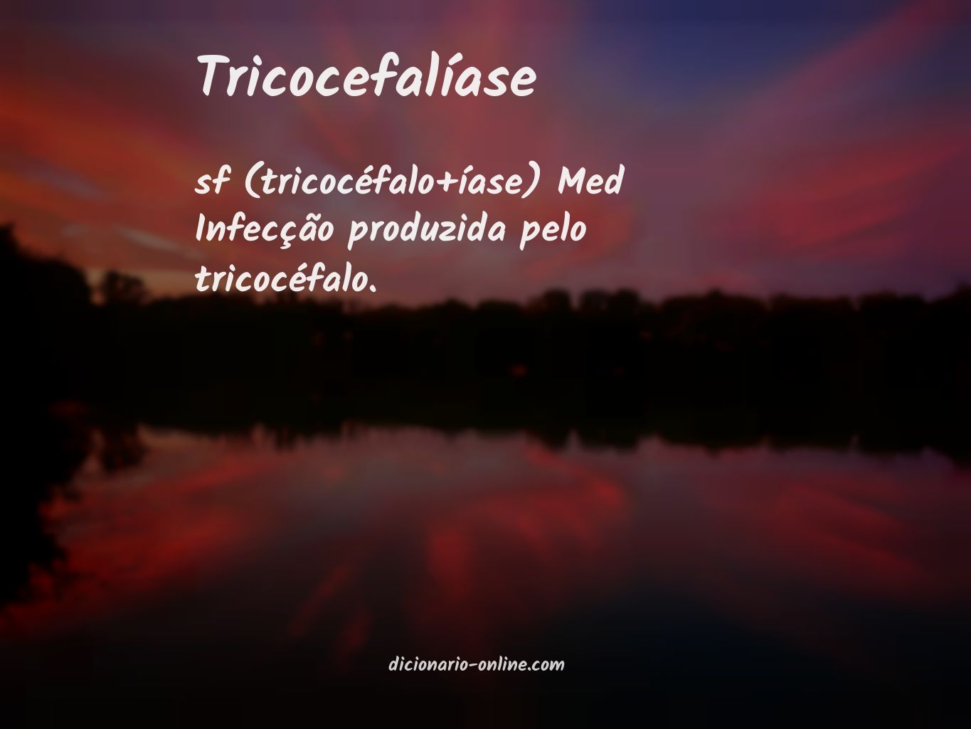 Significado de tricocefalíase