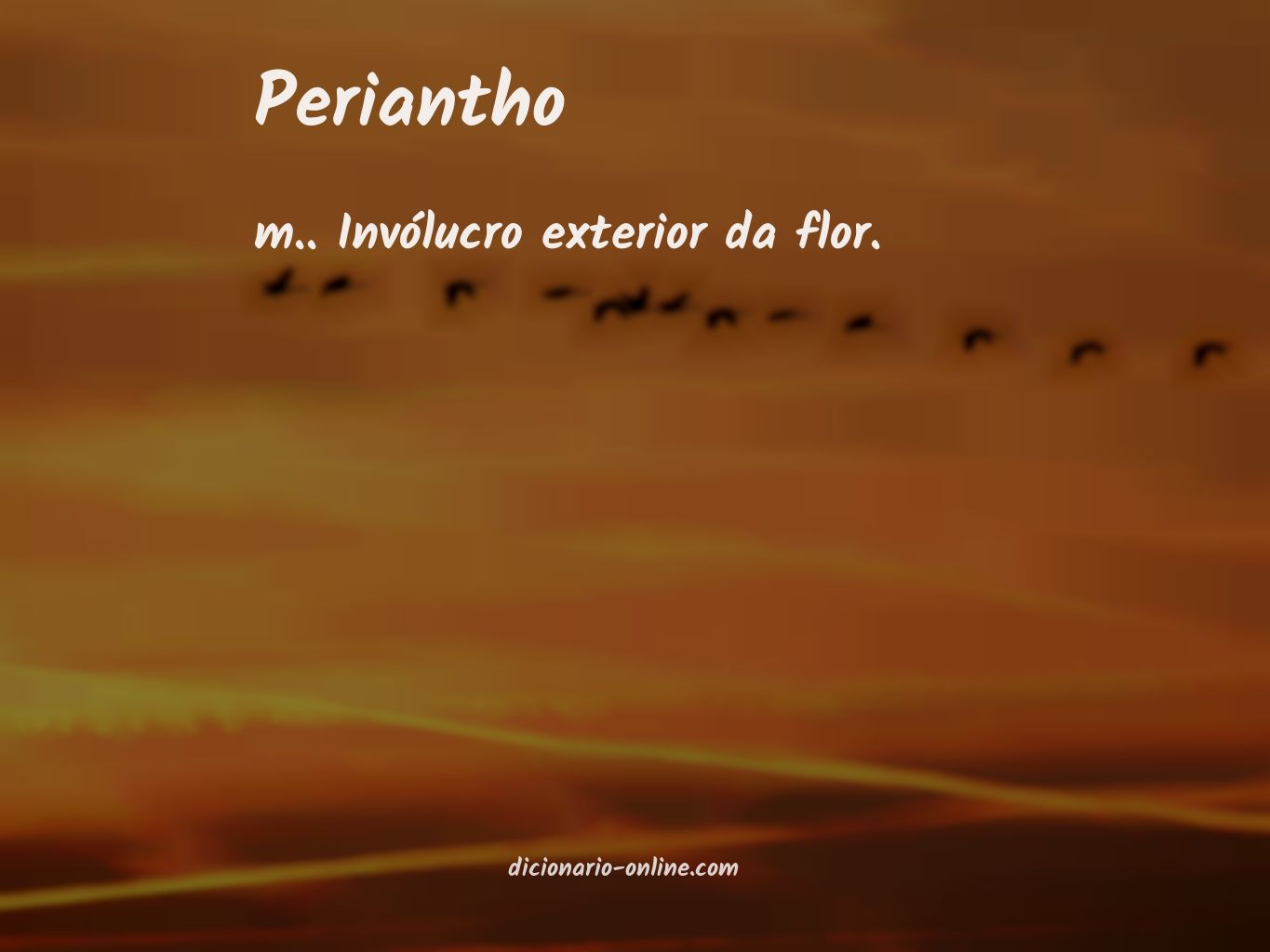 Significado de periantho