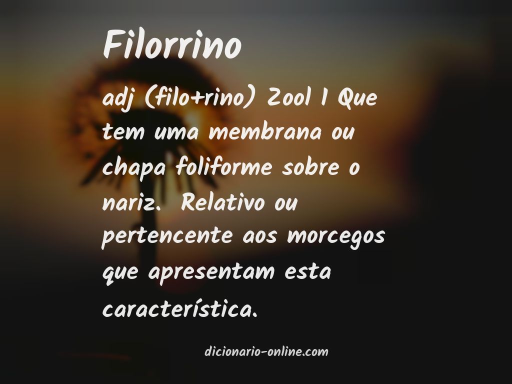 Significado de filorrino