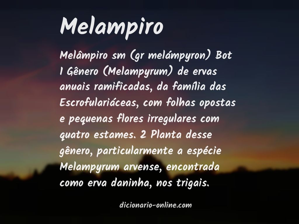 Significado de melampiro