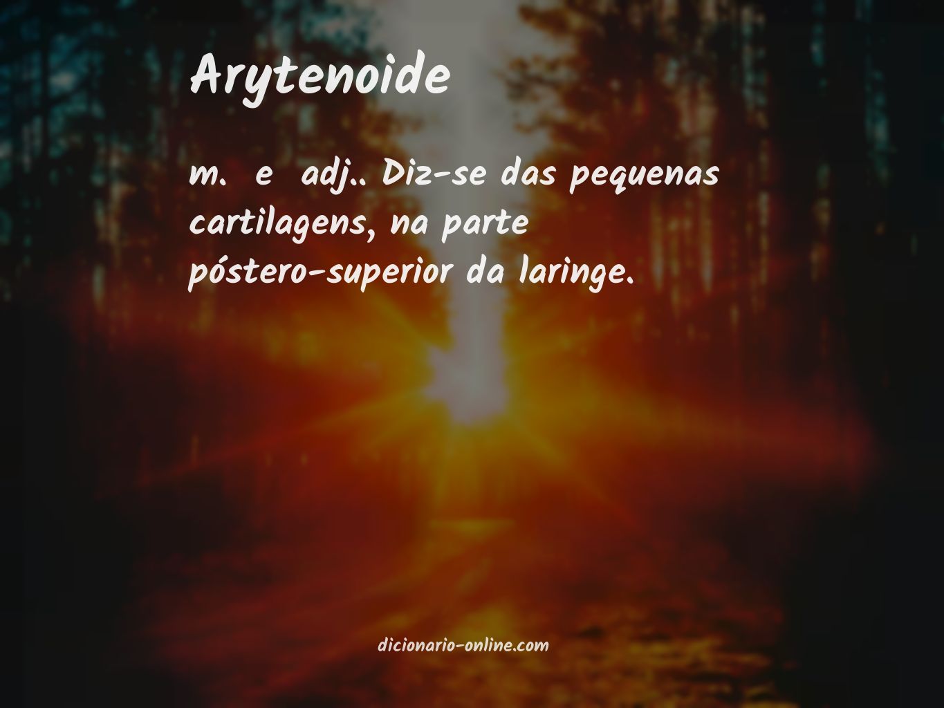 Significado de arytenoide